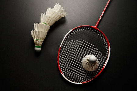 快的成长 快的成长