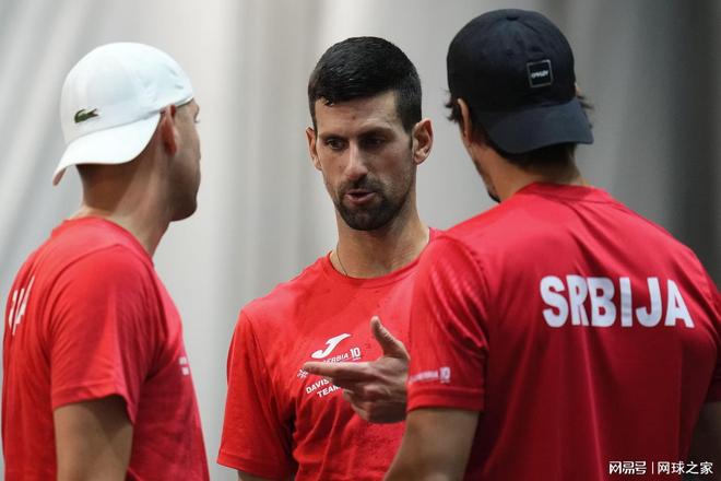 结论导向的 结论导向的