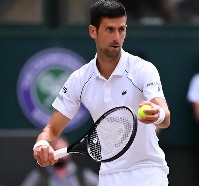 莱昂纳多传 莱昂纳多传