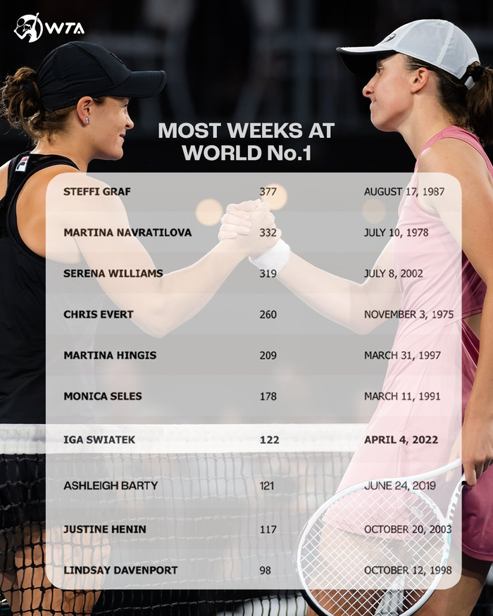 位置与体型 位置与体型